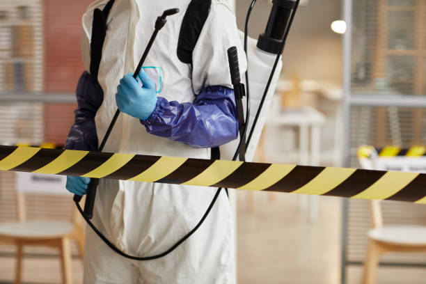 Professional Blood Cleanup technician working in Ross, CA