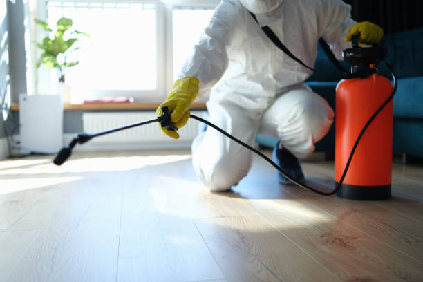 Reliable Blood Cleanup contractor in Ross, CA by Trauma Clean Pros